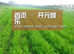 种植基地四