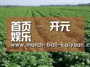 种植基地五