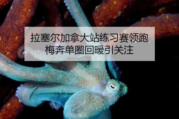 拉塞尔加拿大站练习赛领跑 梅奔单圈回暖引关注