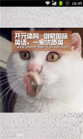 开元体育-剑蒙国际英语,一家优质英语培训机构(图1) 开元娱乐